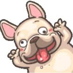 Meet your Posher, Tokki